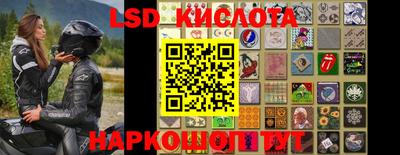 крисы Кинель