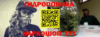 молекула духа Кингисепп
