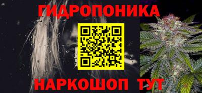 молекула духа Кингисепп